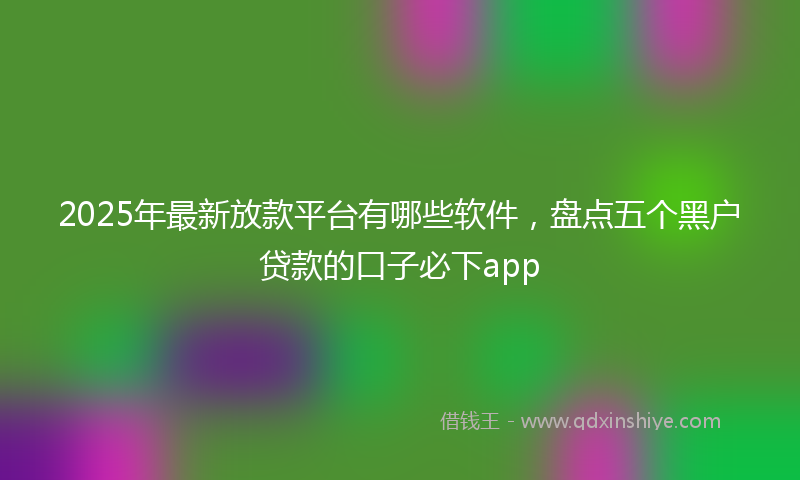 2025年最新放款平台有哪些软件，盘点五个黑户贷款的口子必下app