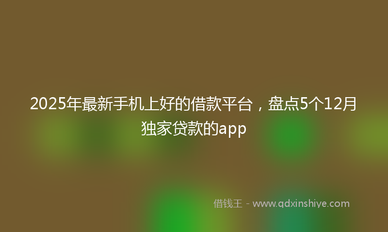 2025年最新手机上好的借款平台，盘点5个12月独家贷款的app