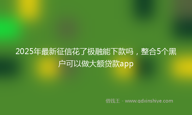 2025年最新征信花了极融能下款吗，整合5个黑户可以做大额贷款app