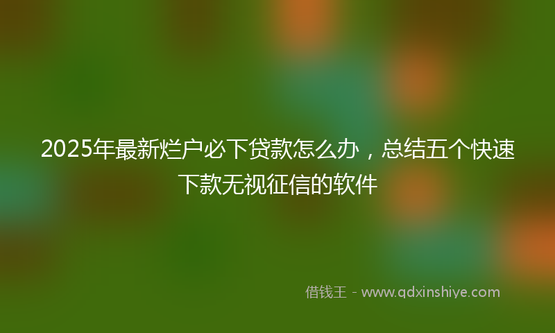 2025年最新烂户必下贷款怎么办，总结五个快速下款无视征信的软件