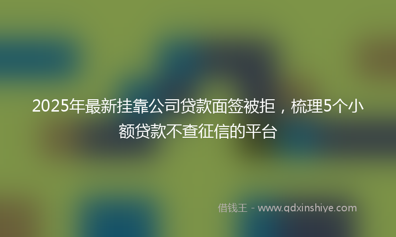 2025年最新挂靠公司贷款面签被拒，梳理5个小额贷款不查征信的平台