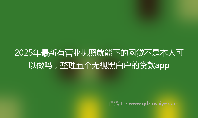2025年最新有营业执照就能下的网贷不是本人可以做吗，整理五个无视黑白户的贷款app