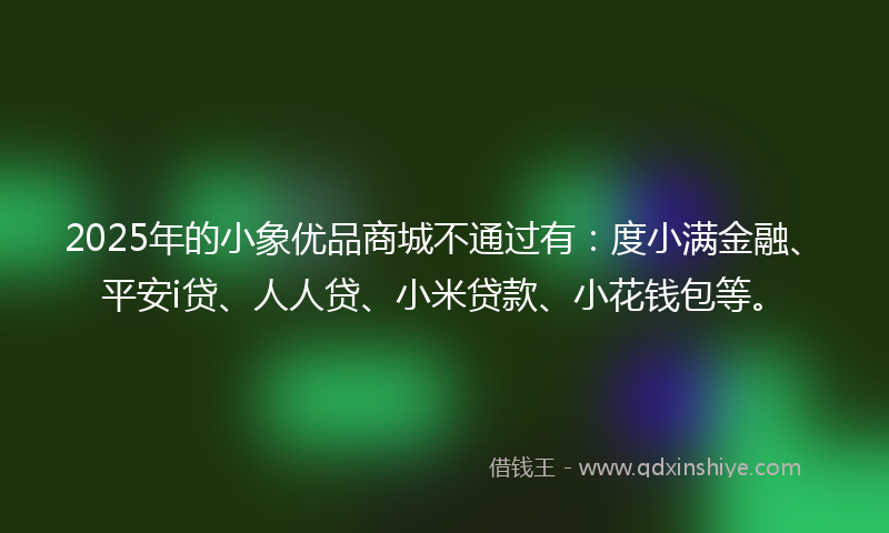 2025年的小象优品商城不通过有：度小满金融、平安i贷、人人贷、小米贷款、小花钱包等。