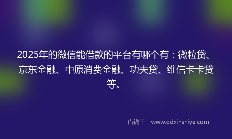 2025年的微信能借款的平台有哪个有：微粒贷、京东金融、中原消费金融、功夫贷、维信卡卡贷等。