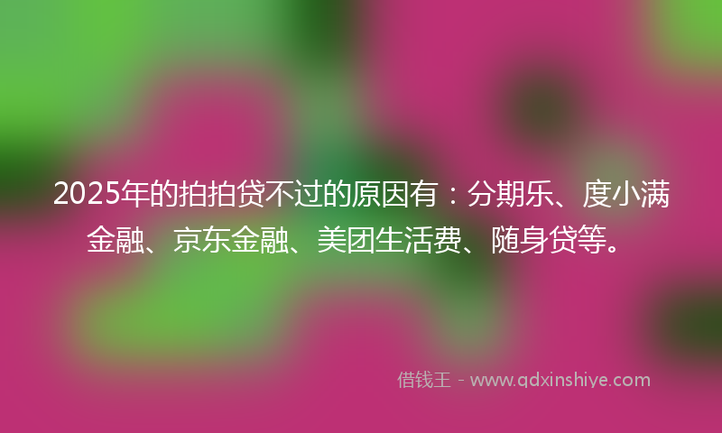 2025年的拍拍贷不过的原因有：分期乐、度小满金融、京东金融、美团生活费、随身贷等。