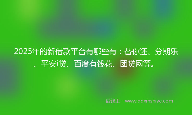 2025年的新借款平台有哪些有：替你还、分期乐、平安i贷、百度有钱花、团贷网等。