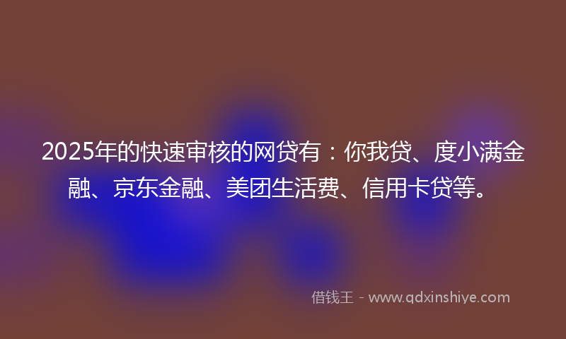 2025年的快速审核的网贷有：你我贷、度小满金融、京东金融、美团生活费、信用卡贷等。
