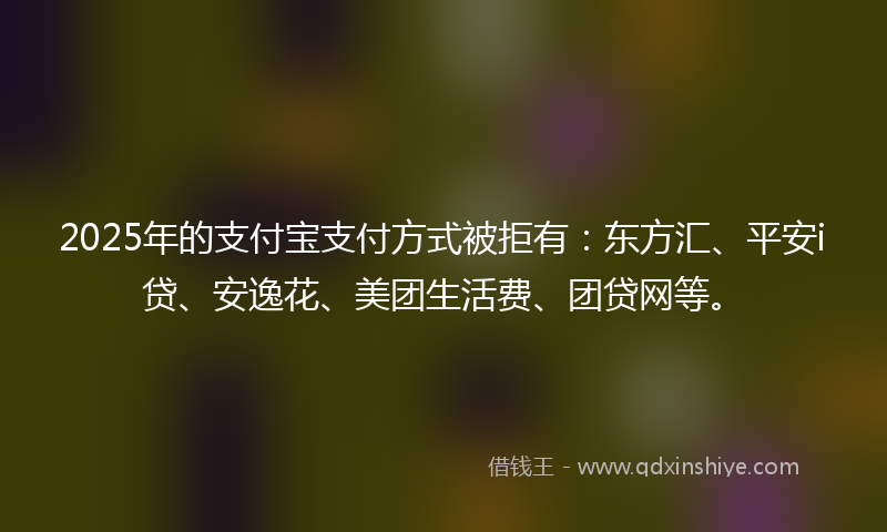 2025年的支付宝支付方式被拒有：东方汇、平安i贷、安逸花、美团生活费、团贷网等。