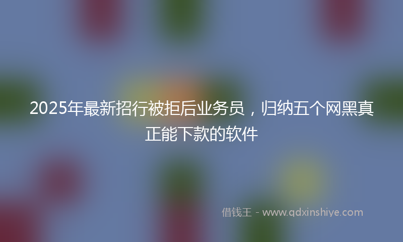 2025年最新招行被拒后业务员，归纳五个网黑真正能下款的软件