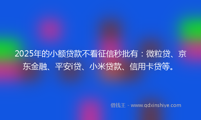 2025年的小额贷款不看征信秒批有：微粒贷、京东金融、平安i贷、小米贷款、信用卡贷等。