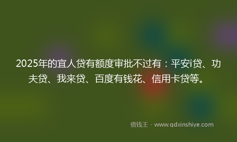 2025年的宜人贷有额度审批不过有：平安i贷、功夫贷、我来贷、百度有钱花、信用卡贷等。