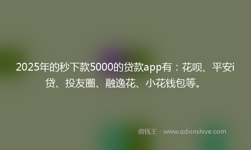 2025年的秒下款5000的贷款app有：花呗、平安i贷、投友圈、融逸花、小花钱包等。