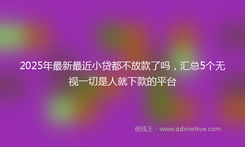 2025年最新最近小贷都不放款了吗，汇总5个无视一切是人就下款的平台