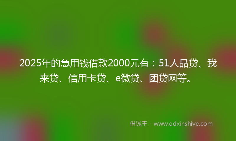 2025年的急用钱借款2000元有：51人品贷、我来贷、信用卡贷、e微贷、团贷网等。