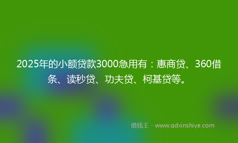 2025年的小额贷款3000急用有：惠商贷、360借条、读秒贷、功夫贷、柯基贷等。