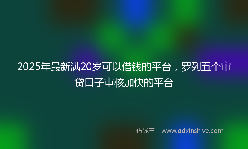 2025年最新满20岁可以借钱的平台，罗列五个审贷口子审核加快的平台