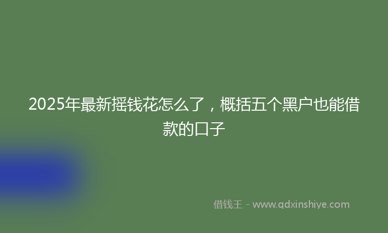2025年最新摇钱花怎么了，概括五个黑户也能借款的口子