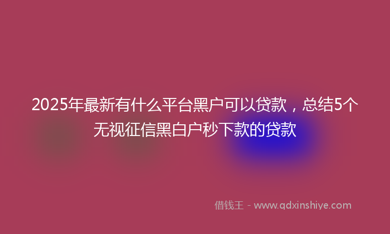 2025年最新有什么平台黑户可以贷款，总结5个无视征信黑白户秒下款的贷款