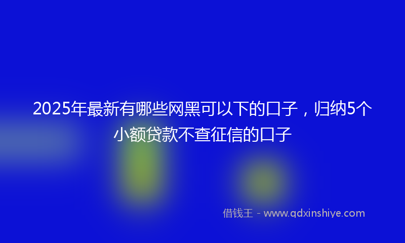2025年最新有哪些网黑可以下的口子，归纳5个小额贷款不查征信的口子