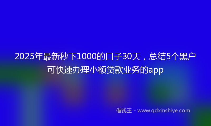 2025年最新秒下1000的口子30天，总结5个黑户可快速办理小额贷款业务的app