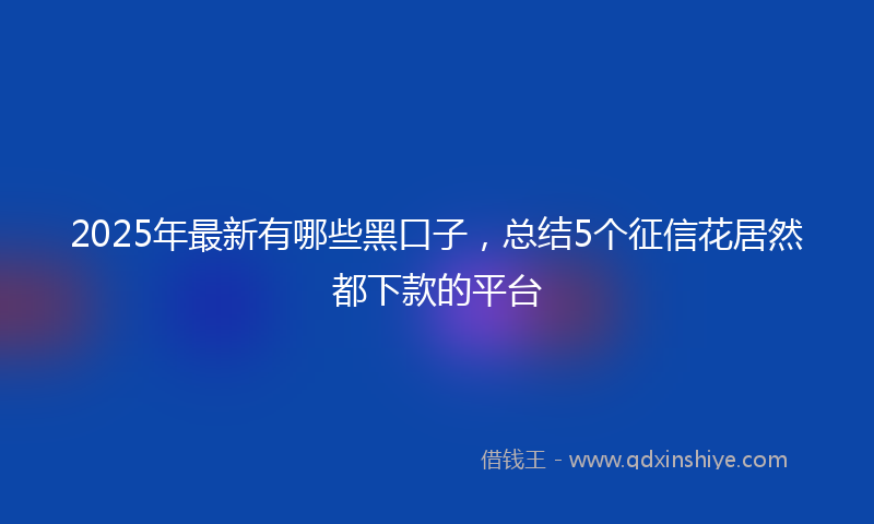 2025年最新有哪些黑口子，总结5个征信花居然都下款的平台