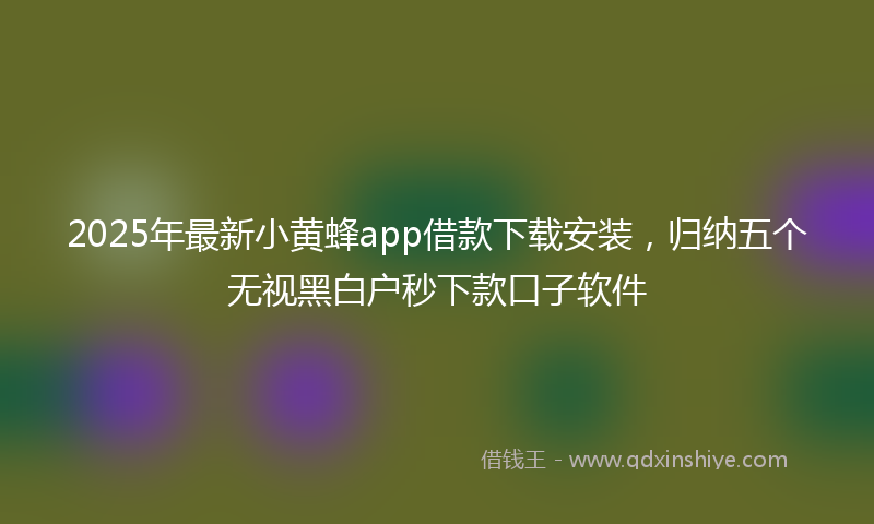 2025年最新小黄蜂app借款下载安装，归纳五个无视黑白户秒下款口子软件