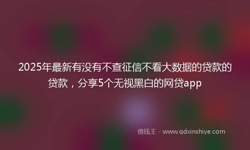 2025年最新有没有不查征信不看大数据的贷款的贷款，分享5个无视黑白的网贷app