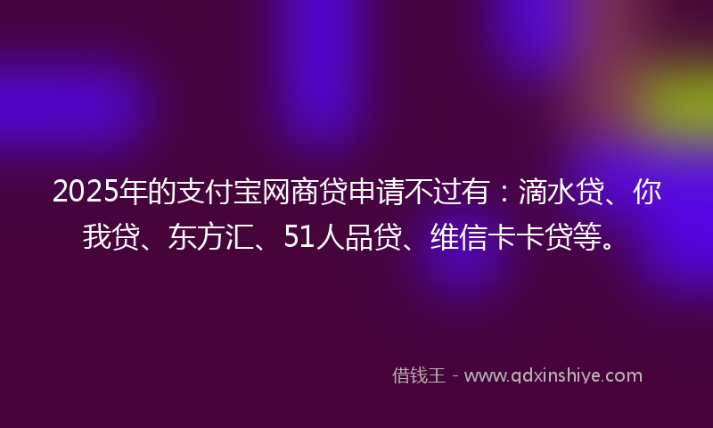 2025年的支付宝网商贷申请不过有：滴水贷、你我贷、东方汇、51人品贷、维信卡卡贷等。