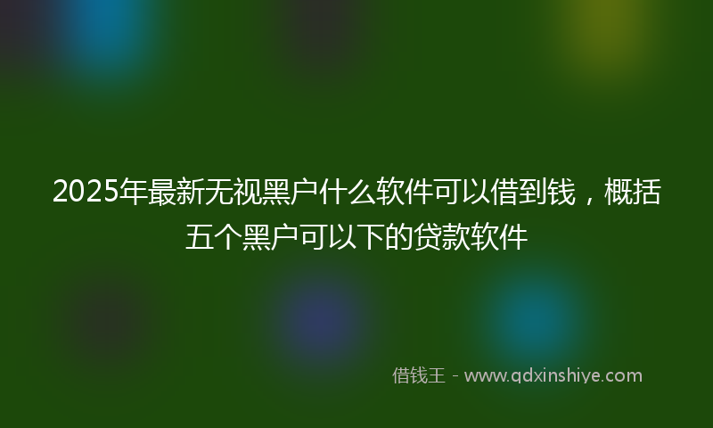 2025年最新无视黑户什么软件可以借到钱，概括五个黑户可以下的贷款软件