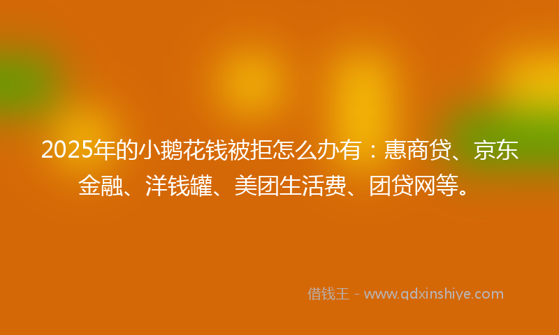 2025年的小鹅花钱被拒怎么办有：惠商贷、京东金融、洋钱罐、美团生活费、团贷网等。
