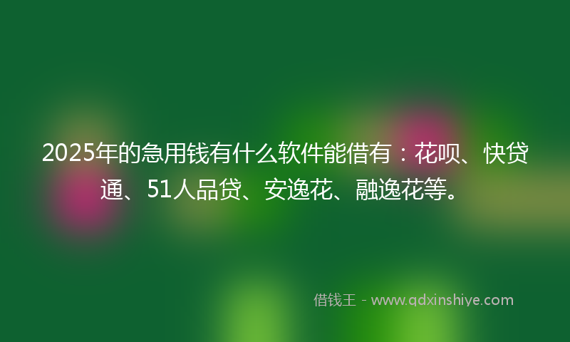 2025年的急用钱有什么软件能借有：花呗、快贷通、51人品贷、安逸花、融逸花等。