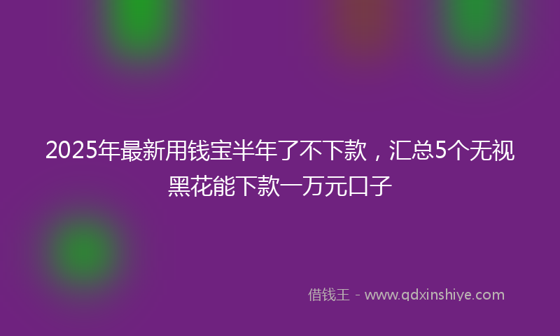 2025年最新用钱宝半年了不下款，汇总5个无视黑花能下款一万元口子