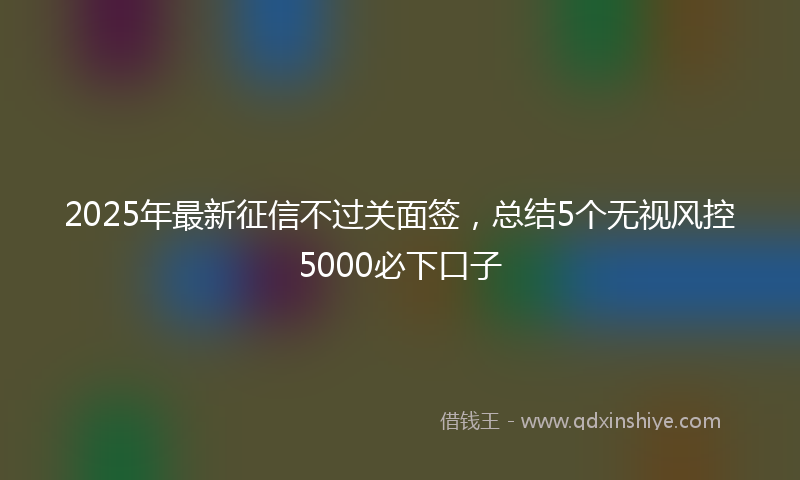 2025年最新征信不过关面签，总结5个无视风控5000必下口子
