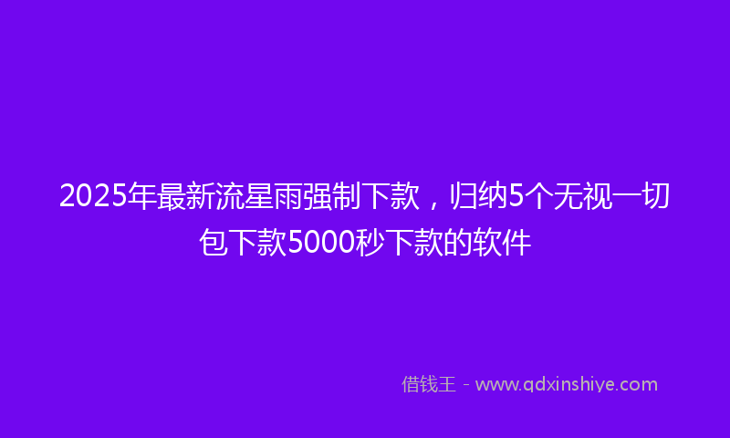2025年最新流星雨强制下款，归纳5个无视一切包下款5000秒下款的软件