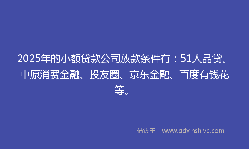 2025年的小额贷款公司放款条件有：51人品贷、中原消费金融、投友圈、京东金融、百度有钱花等。