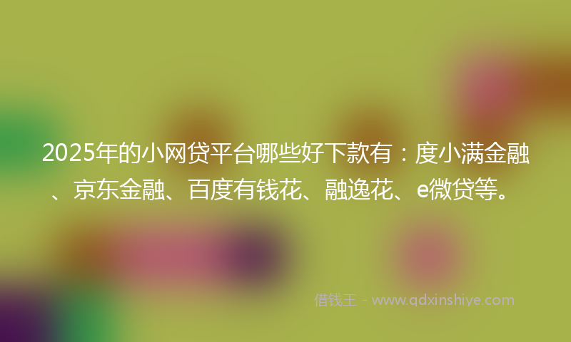 2025年的小网贷平台哪些好下款有：度小满金融、京东金融、百度有钱花、融逸花、e微贷等。