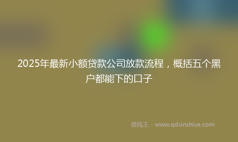 2025年最新小额贷款公司放款流程，概括五个黑户都能下的口子