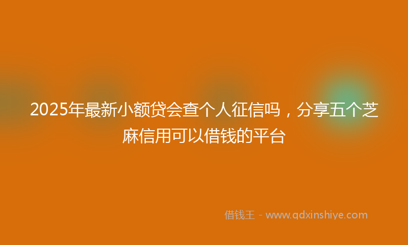2025年最新小额贷会查个人征信吗，分享五个芝麻信用可以借钱的平台