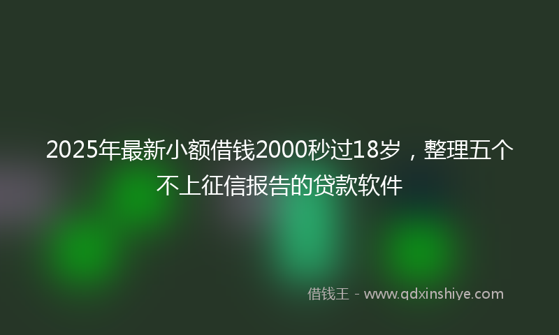 2025年最新小额借钱2000秒过18岁，整理五个不上征信报告的贷款软件