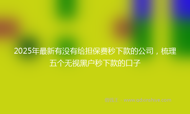 2025年最新有没有给担保费秒下款的公司，梳理五个无视黑户秒下款的口子