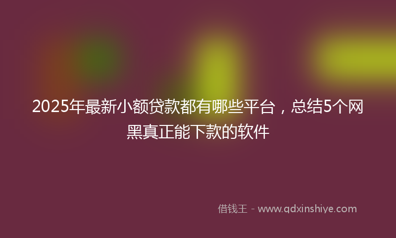 2025年最新小额贷款都有哪些平台，总结5个网黑真正能下款的软件