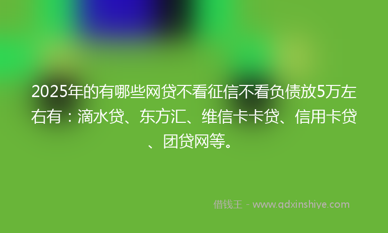 2025年的有哪些网贷不看征信不看负债放5万左右有：滴水贷、东方汇、维信卡卡贷、信用卡贷、团贷网等。