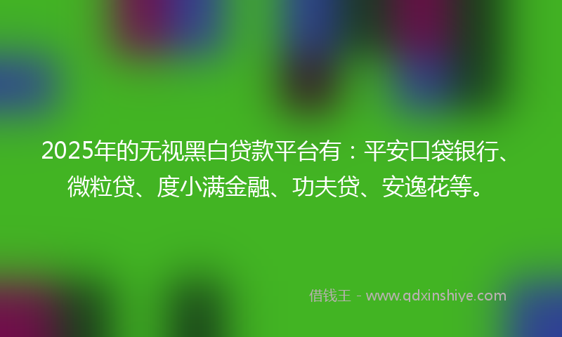 2025年的无视黑白贷款平台有：平安口袋银行、微粒贷、度小满金融、功夫贷、安逸花等。