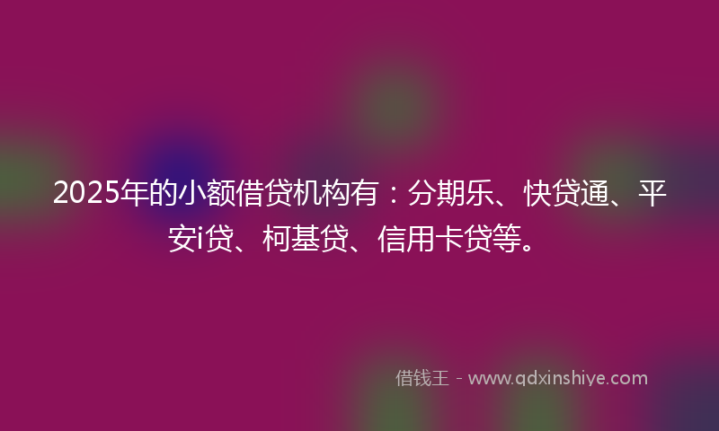 2025年的小额借贷机构有：分期乐、快贷通、平安i贷、柯基贷、信用卡贷等。