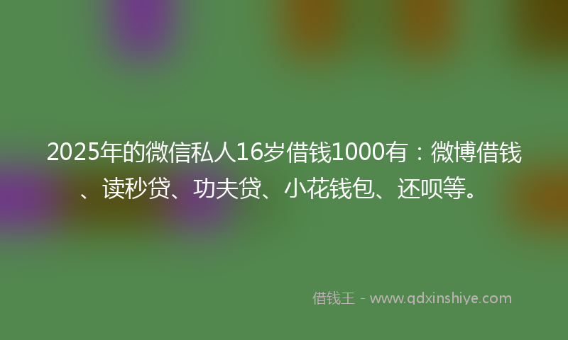 2025年的微信私人16岁借钱1000有：微博借钱、读秒贷、功夫贷、小花钱包、还呗等。