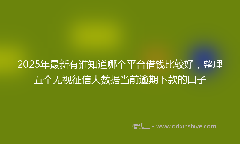 2025年最新有谁知道哪个平台借钱比较好，整理五个无视征信大数据当前逾期下款的口子