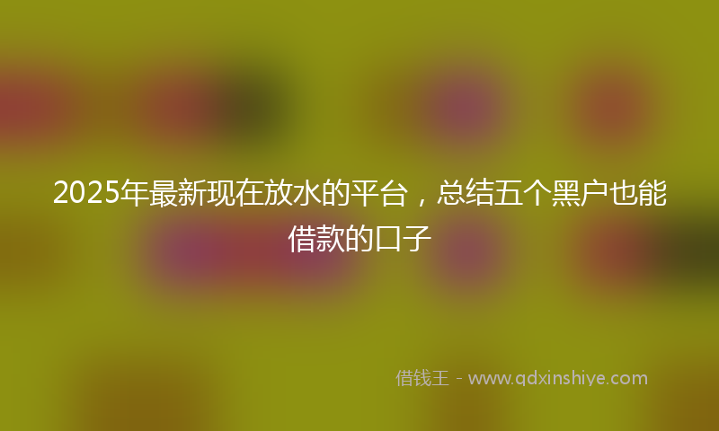 2025年最新现在放水的平台，总结五个黑户也能借款的口子