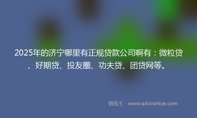 2025年的济宁哪里有正规贷款公司啊有：微粒贷、好期贷、投友圈、功夫贷、团贷网等。