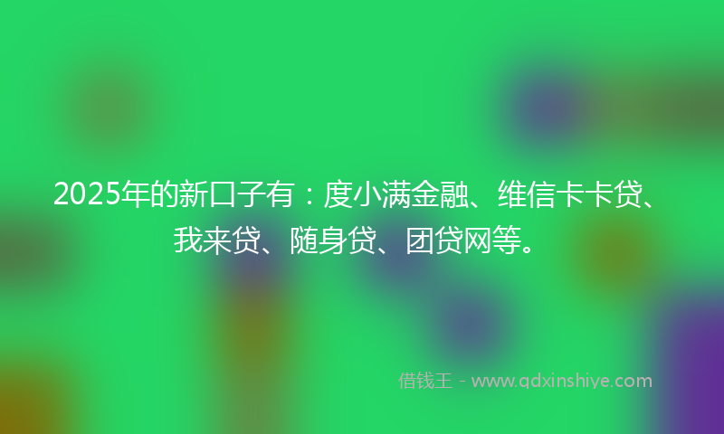 2025年的新口子有：度小满金融、维信卡卡贷、我来贷、随身贷、团贷网等。