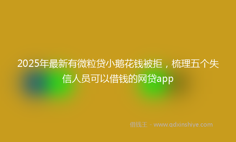 2025年最新有微粒贷小鹅花钱被拒，梳理五个失信人员可以借钱的网贷app